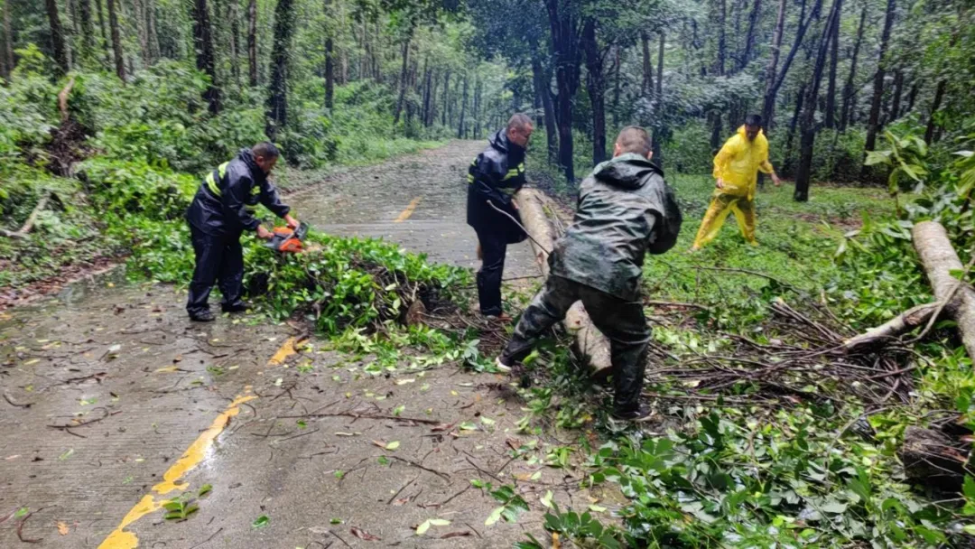 1726283537172004481.jpg 1726283537172004481.jpg