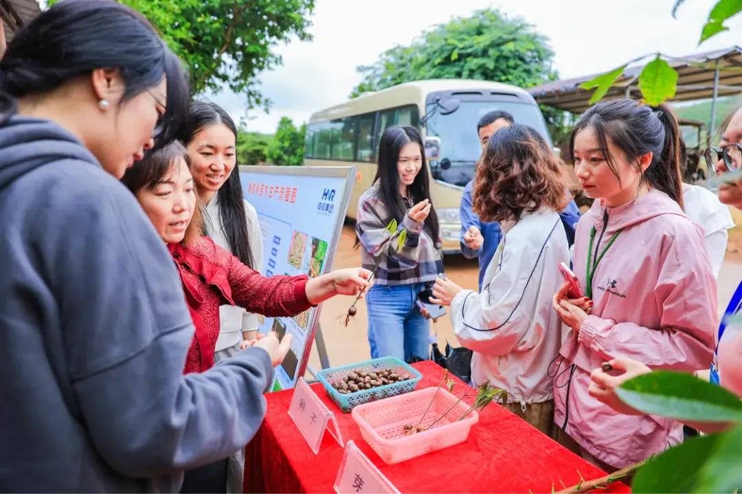 1732497175792039977.jpg 1732497175792039977.jpg