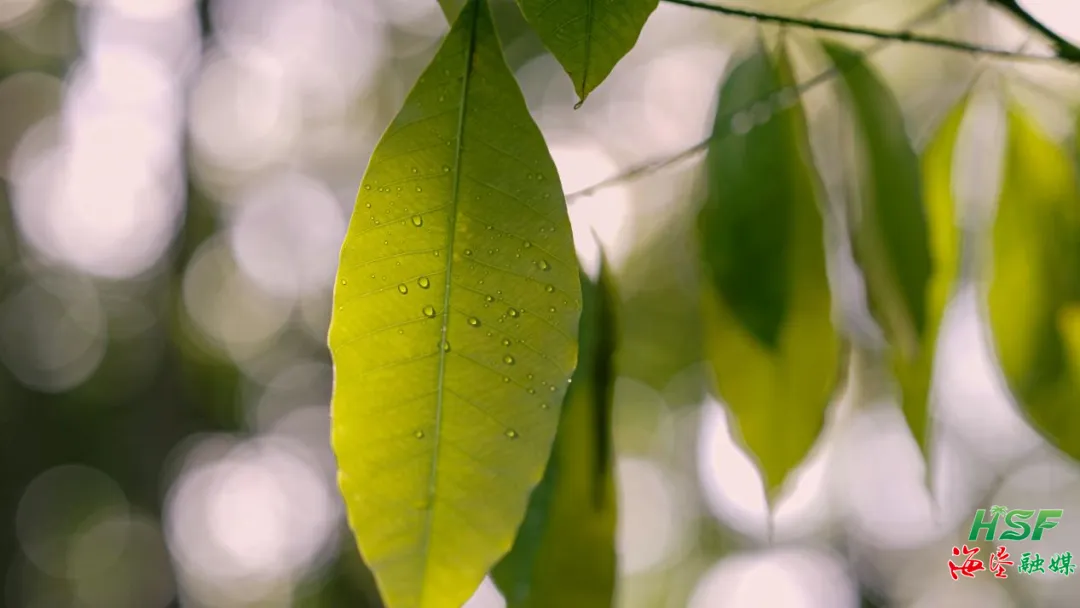 1755879800048081497.jpg 1755879800048081497.jpg